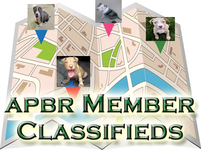APBR member PitBull Classifieds