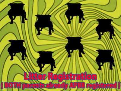 APBR PitBull litter registration