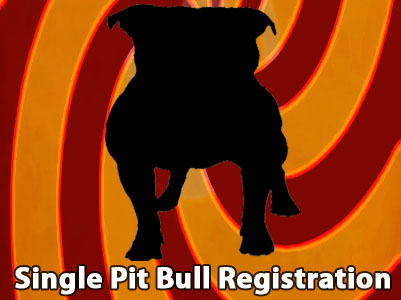 APBR PitBull single PitBull registration