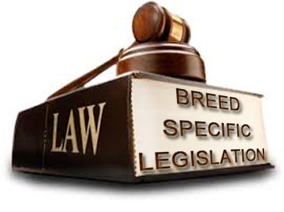 PitBull Breed Specific Legislation - BSL
