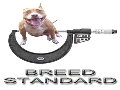 PitBull breed standard