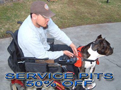 PitBull service dog discount registration